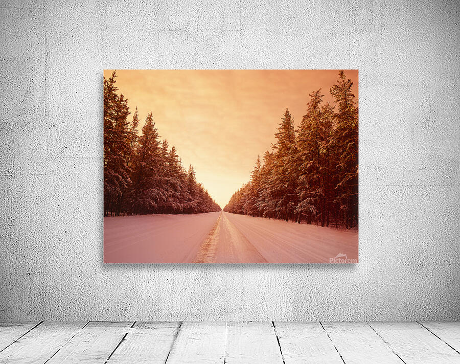Winter Road Through Pine Forest Wall Preview