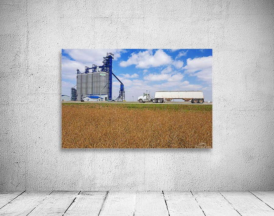 Hauling Crop Wall Preview