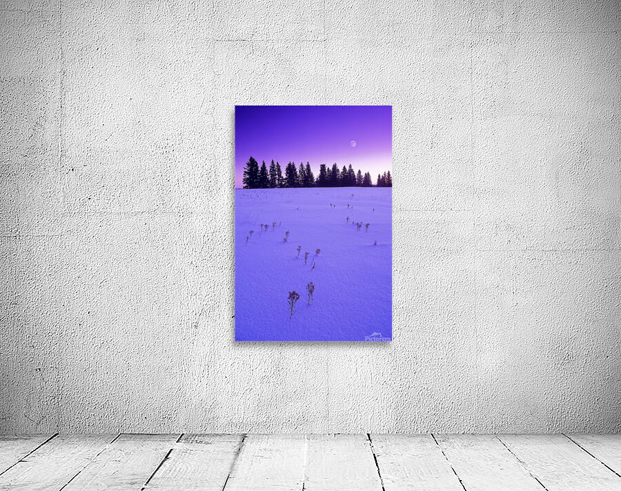 Winter Morning Wall Preview