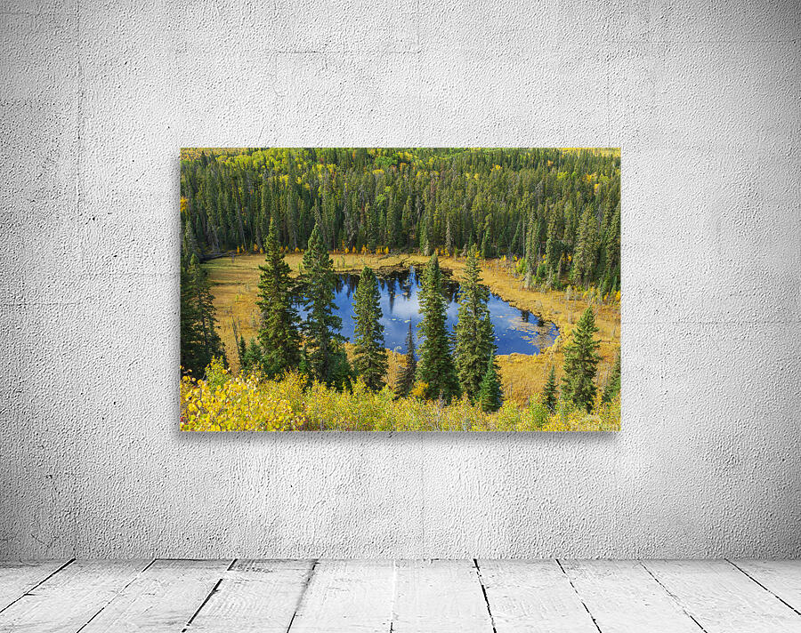 Boggy Lake Wall Preview