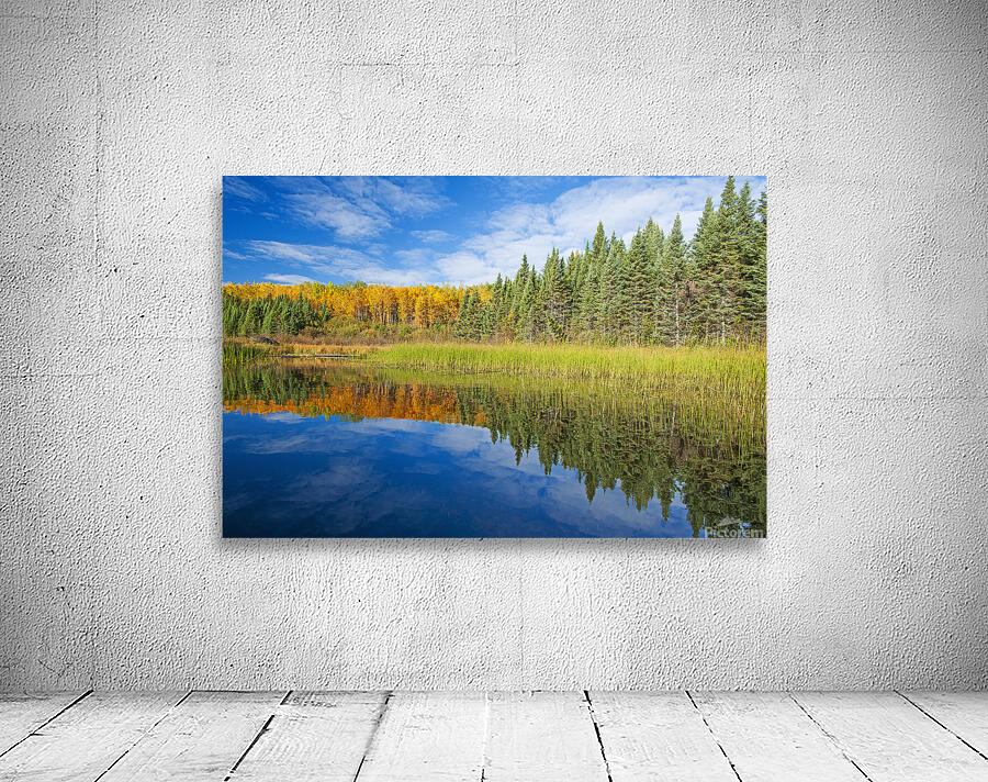 Autumn Colours Along Lake Wall Preview