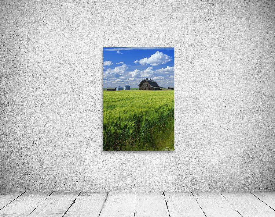 Abandoned Farm Wall Preview