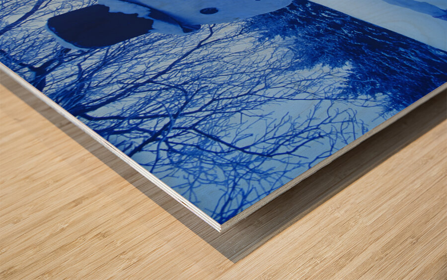 snowman barn Wood print