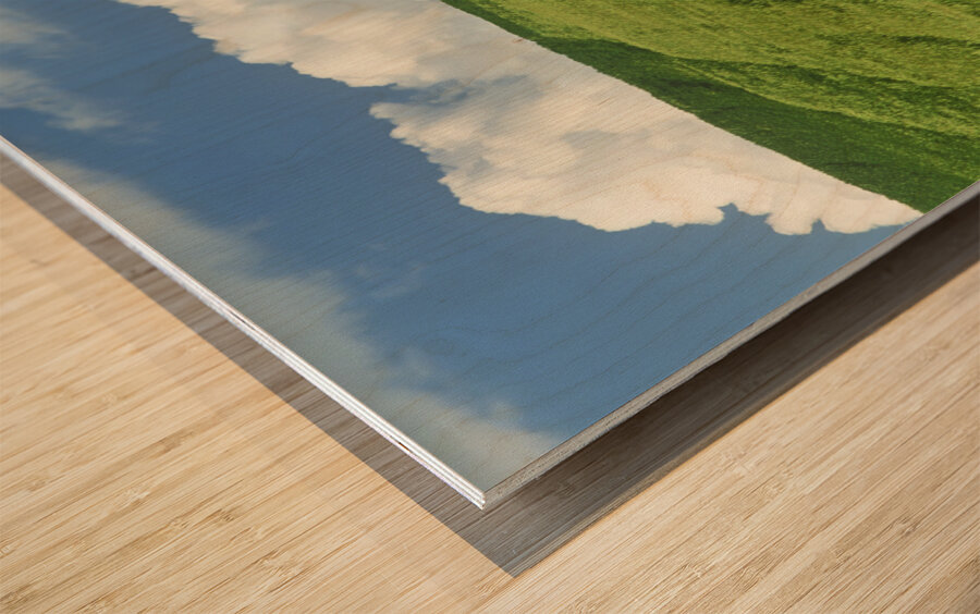 Path Through Barley and Canola Wood print