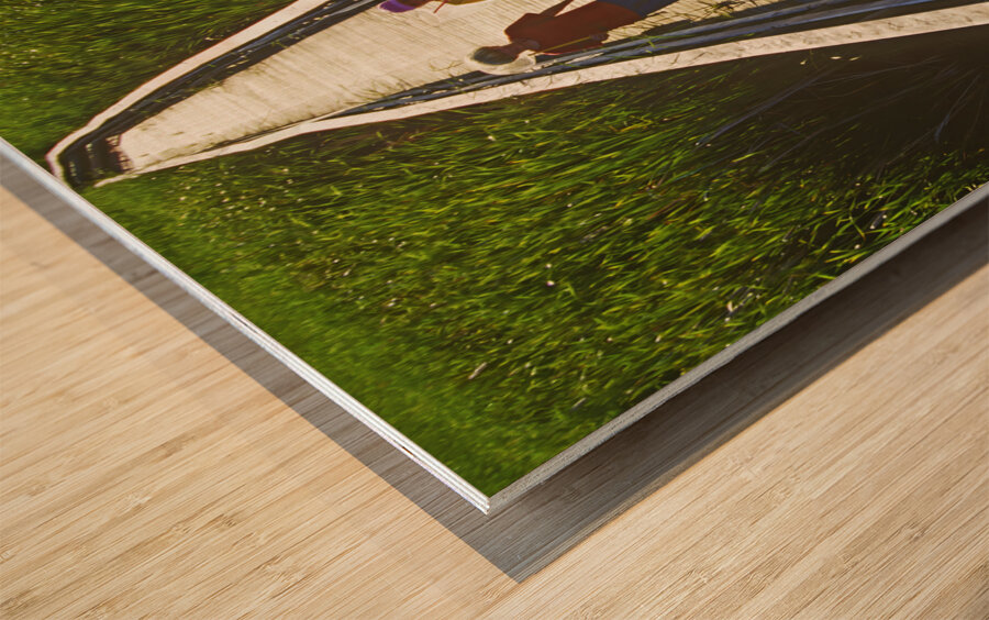 A Day of Catching Marsh Life Wood print