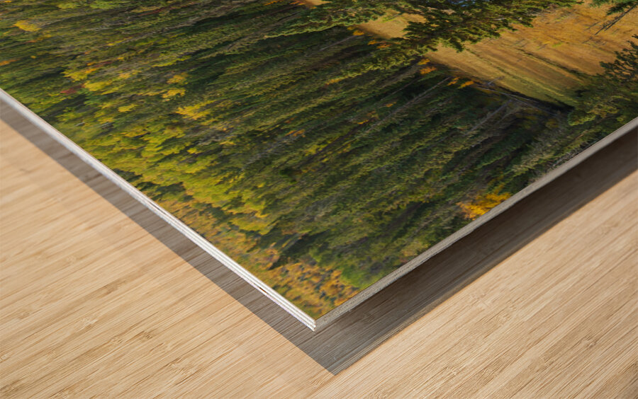 Boggy Lake Wood print