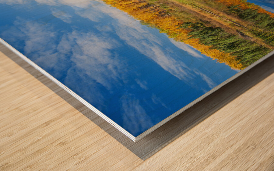 Autumn Colours Along Lake Wood print