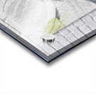 Fall Flowers Series 1 Acrylic print