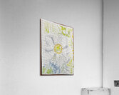Fall Flowers Series 1 Acrylic Print