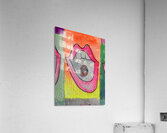 Shamelessly Derivative Series 1 Acrylic Print