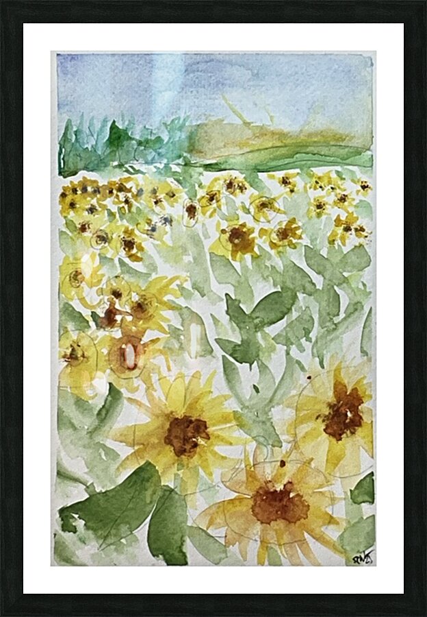 Sunflowers 2  Picture Frame print