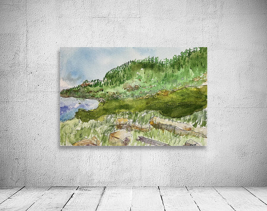 Grole NFLD Canada Wall Preview