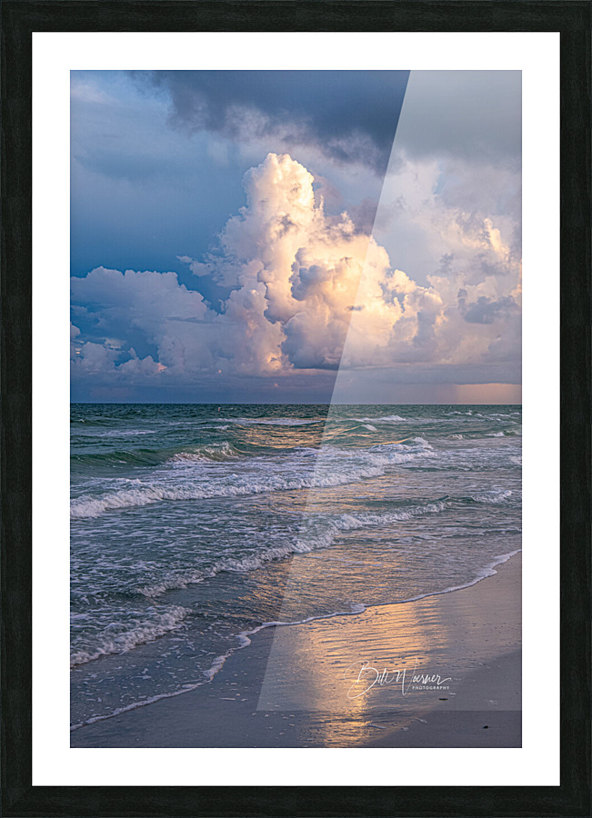 IMG 9799 2 Picture Frame print