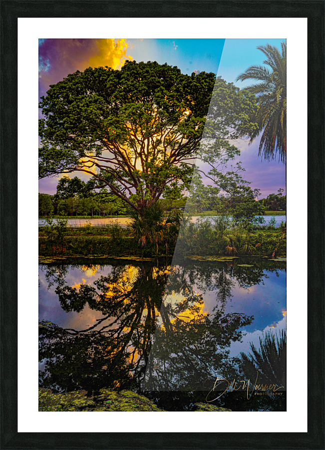  DSC0872 Picture Frame print