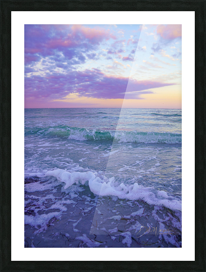  DSC9441 Picture Frame print