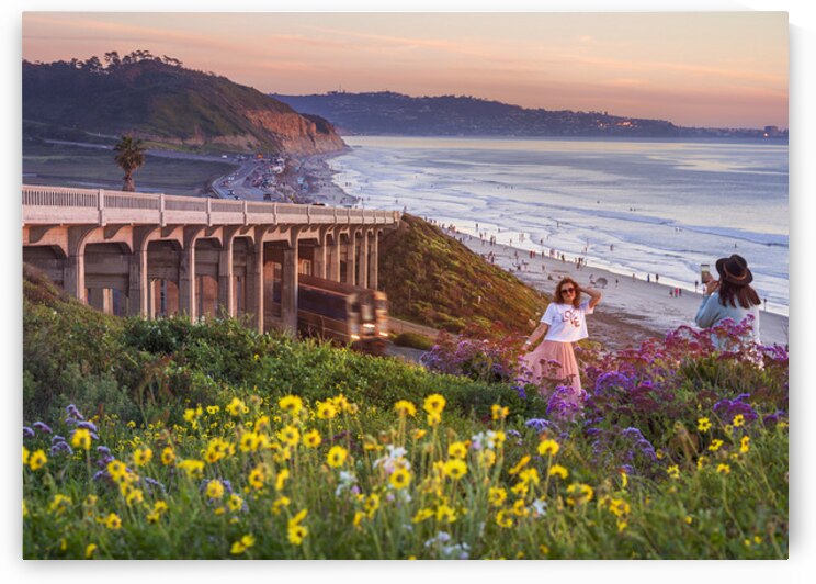 Sights of Torrey Pines Beach by San Diego Photo
