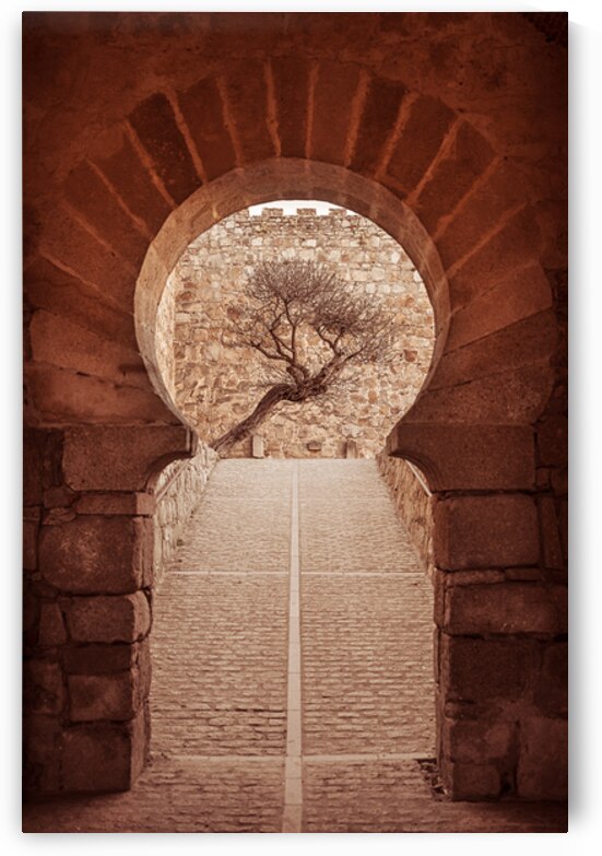 Castillo Trujillo Spain by San Diego Photo