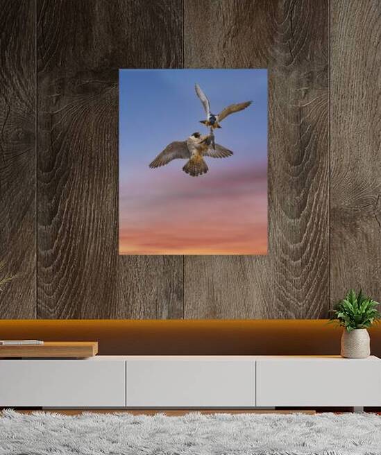 Peregrine Sunset Dinner by San Diego Photo