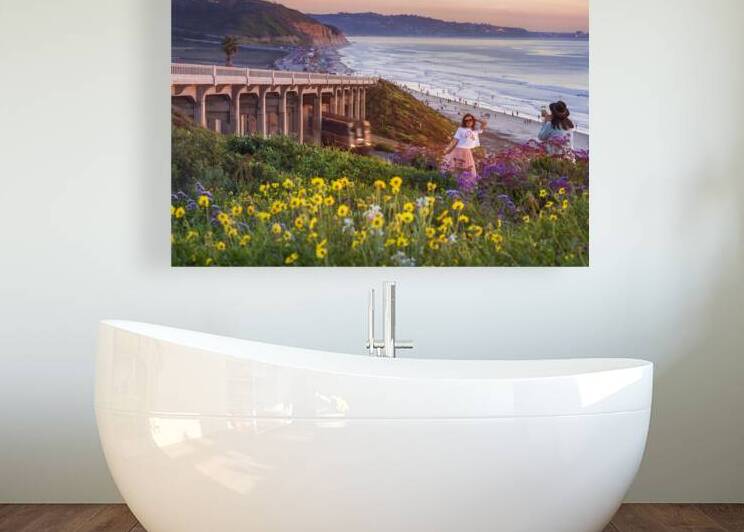 Sights of Torrey Pines Beach by San Diego Photo