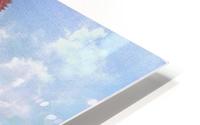 How You Doin HD Metal print