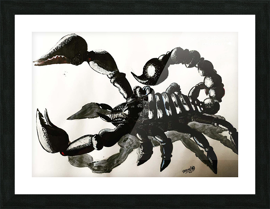 Scorpio Picture Frame print