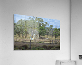 Broken Windmill Acrylic Print
