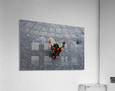 bug Acrylic Print