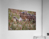 move along Acrylic Print