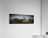 resting on roof Acrylic Print