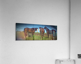 Heavy Horses Acrylic Print