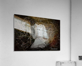 Bone in grass Acrylic Print
