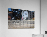 Birds by tractor Acrylic Print