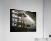 Tiny - paw Acrylic Print