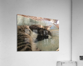 Tiny - do not disturb Acrylic Print
