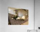 Tiny - yoga'd out Acrylic Print