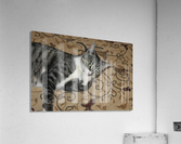 Tiny - eat my foot Acrylic Print