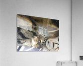 Gizmo - sleepy Acrylic Print