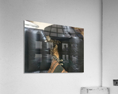 Gizmo - headrest Acrylic Print