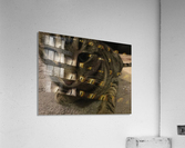 Gizmo - close up Acrylic Print