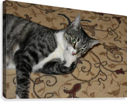 Tiny - eat my foot Canvas Print