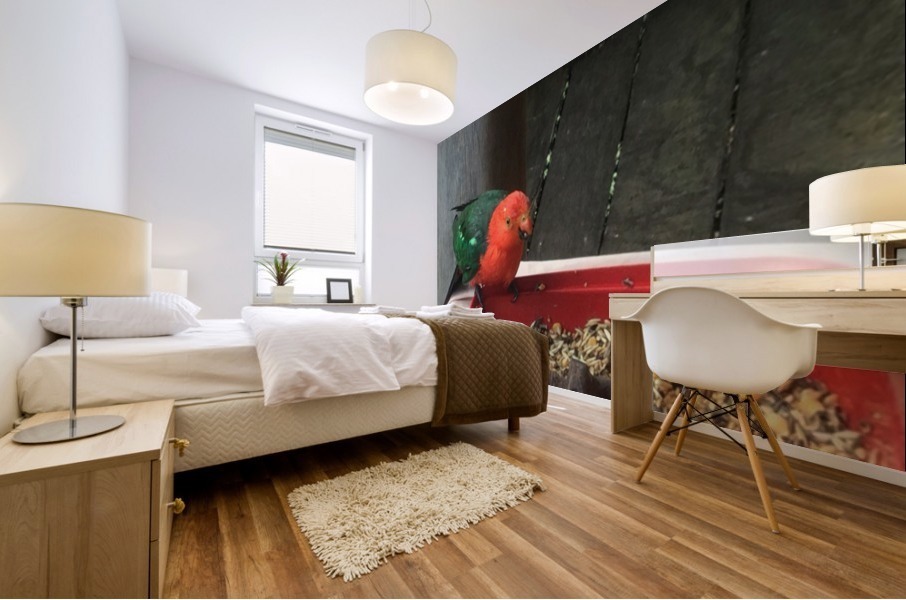 King parrot a Mural print