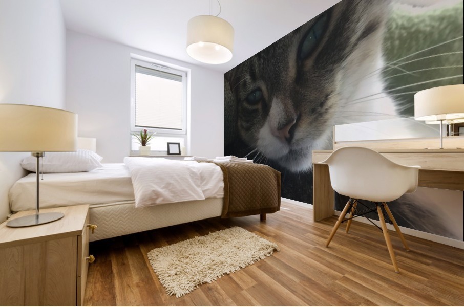sleepy Tiny Mural print