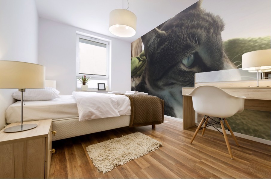Tiny - Yawn ... Mural print