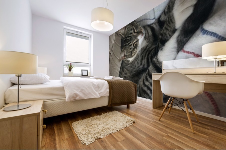 Tiny - tired Mural print