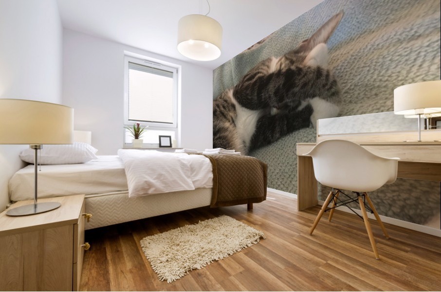 Tiny - do not disturb Mural print