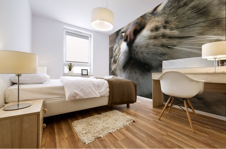 Gizmo - fast asleep Mural print