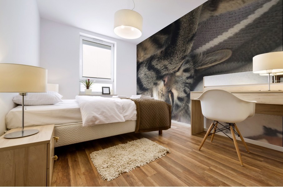Gizmo - sleepy Mural print