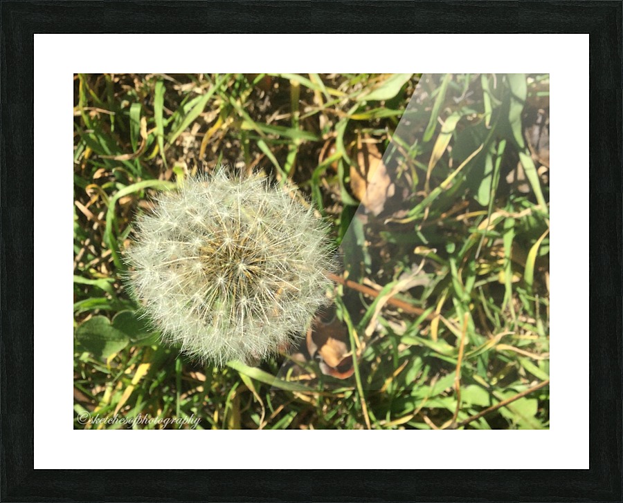 Puff Picture Frame print