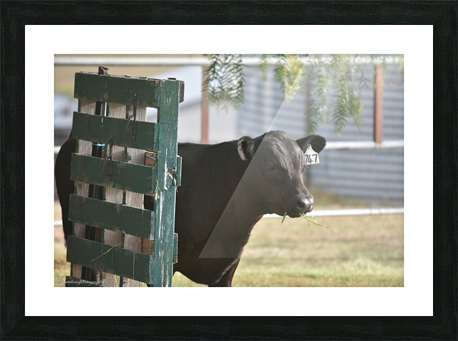 Pallet Picture Frame print