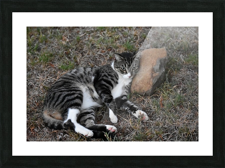 Sleep Picture Frame print